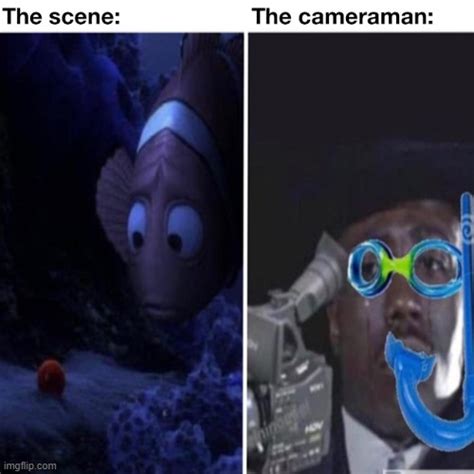 Image tagged in cameraman,finding nemo,memes - Imgflip