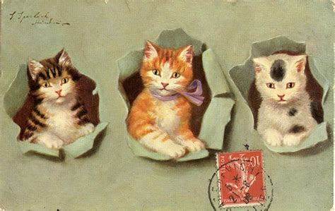 Lot - Antique Rare Postcard Animals Kittens