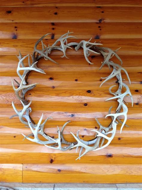 28 Cool Ways To Use Antlers In Home Décor - Shelterness