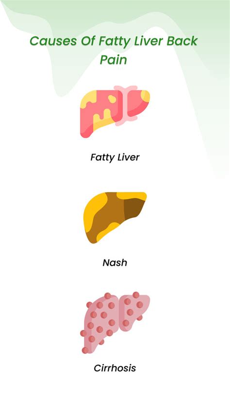 The comprehensive guide of fatty liver back pain: Strategies and Solution | ClinicSpots