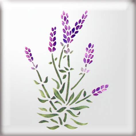 Awesome Lavender Flower Template 20+