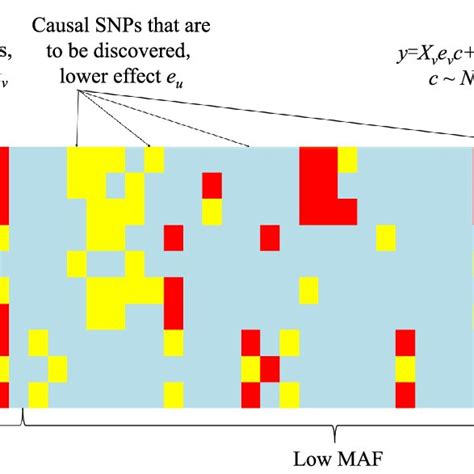 An illustration of the generation process of SNP array data. This... | Download Scientific Diagram