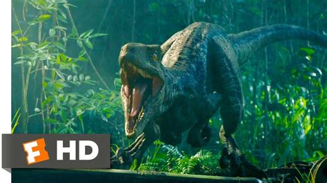 Jurassic World: Fallen Kingdom (2018) - Reunited with Blue Scene (2/10) | Movieclips - YouTube