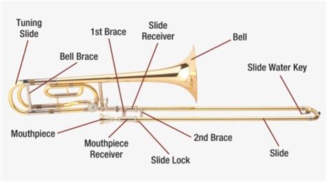 Trombone Download Transparent Png Image - Types Of Trombone, Png Download - kindpng