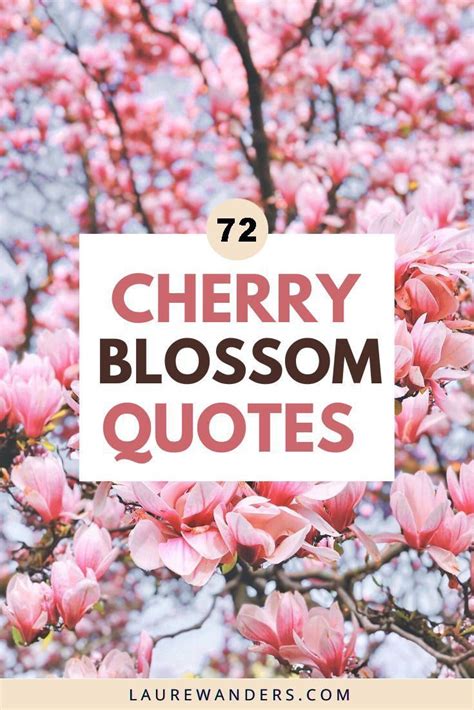 72 cherry blossom quotes and captions – Artofit