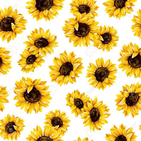 Patrón de girasol | Sunflower illustration, Sunflower wallpaper, Sunflower art