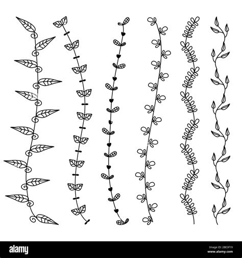 Flower vine leaves hand drawn doodle vector line border set and design element Stock Vector ...