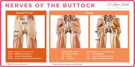 Superior Gluteal Nerve Entrapment