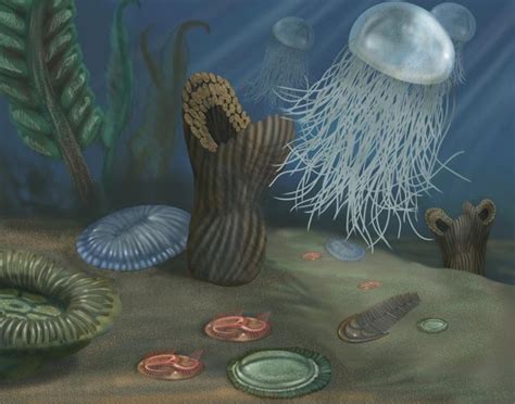 Precambrian: Ediacaran Community, Proterozoic Eon | Prehistoric ...