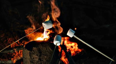 You can roast marshmallows on a campfire in downtown Montreal this ...