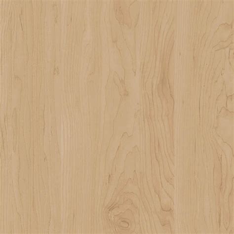 Birch fine wood PBR texture seamless 22014