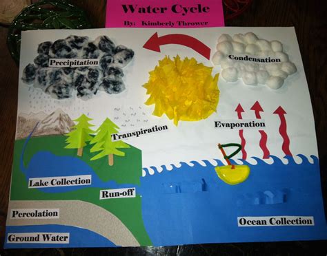 Science Project Fifth Grade Water Cycle