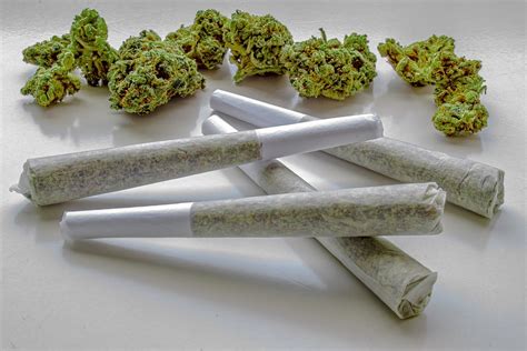 How to Roll a Joint Like the Experts Do (8 Steps to Follow)