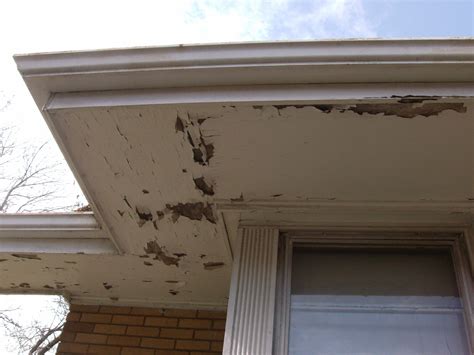 Soffit And Fascia | A Tree Grows in the Gutter: A Renovation of the Worst House on the Block