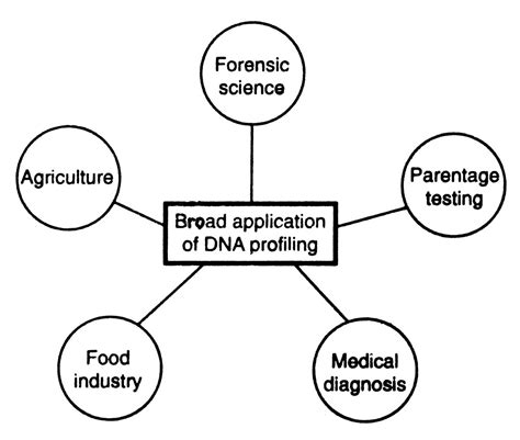 Application of DNA Profiling (DNA Fingerprinting) Technology