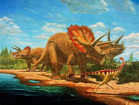 Cretaceous Dinosaurs Photograph by Chris Butler - Pixels