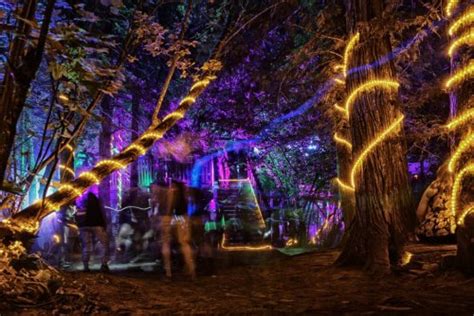 Shambhala Music Festival Announces 2023 Lineup | To Do Canada | Flipboard