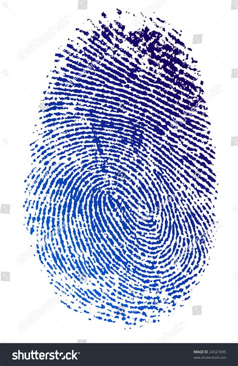 Fingerprint Color Ink Stock Vector Illustration 24527695 : Shutterstock