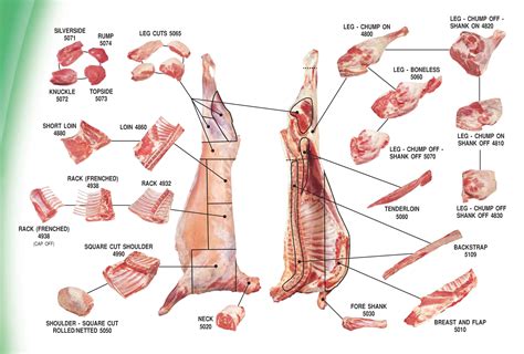 Sheep Cuts Of Meat Chart - Lamb Cuts & Cooking Methods | for the love of lamb™ - The spruce ...