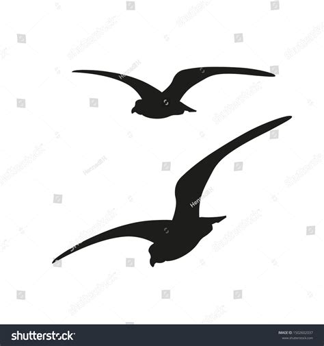 Silhouette Flying Seagulls Vector Illustration Isolated Stock Vector (Royalty Free) 1502602037 ...