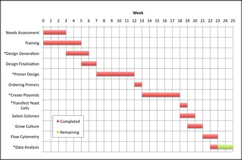 Group 15 Timeline