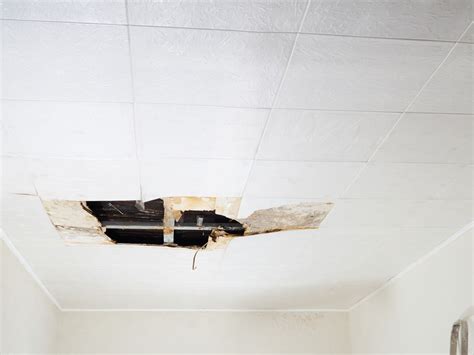 Is Drywall Mold Dangerous?