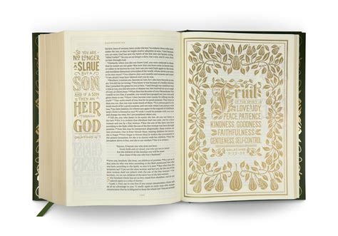 ESV Illuminated Bible, Art Journaling Edition (Hardcover) ESV, English Standard Version ...