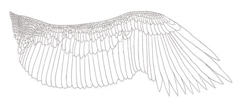 Free Eagle Wing Lineart by Aerophoinix on DeviantArt