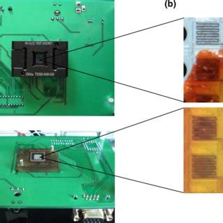 (a) Photo images of the test board used for electronic signal delivery.... | Download Scientific ...