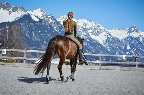 The 3 Types of Horse Riding Styles You Should Know About – Just for my Horse