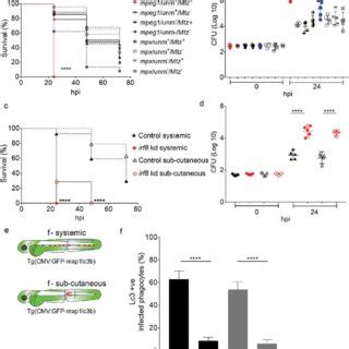 GFP-Lc3-Salmonella associations in specific phagocyte types. (a) Region... | Download Scientific ...