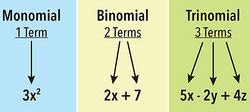 Examples of Monomials and Polynomials