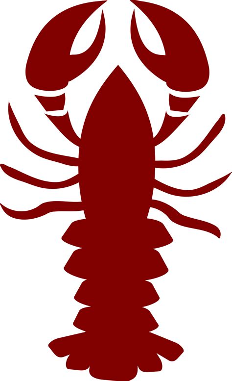 Lobster outline lobster pics clipart - WikiClipArt