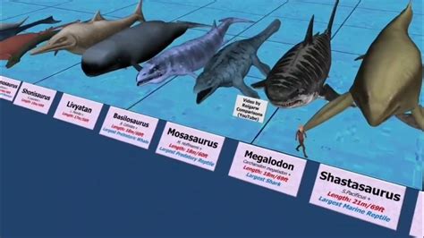 Sea size comparison || #morbiusfacts - YouTube