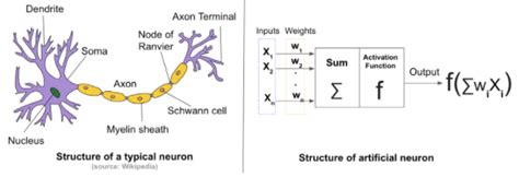 Artificial Neural Network: Perceptron ~ Blognya Ardiant