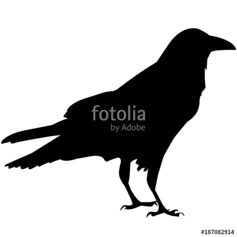 Raven Silhouette Vector at GetDrawings | Free download