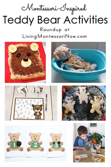 Montessori-Inspired Teddy Bear Activities