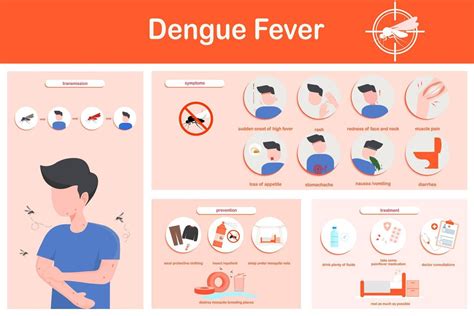 Vector illustration infographics dengue fever symptoms, transmission, prevention and treatment ...