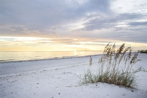 The Weather and Climate in Naples, Florida