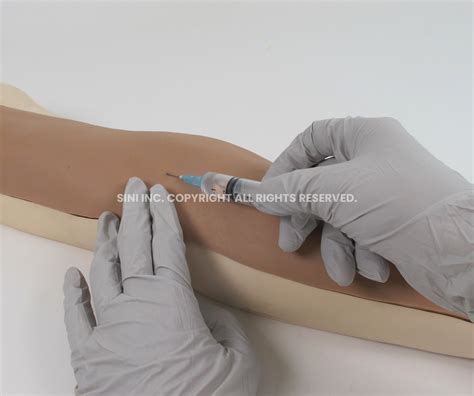 Intravenous Injection Arm Trainer - SINI Medical Simulation