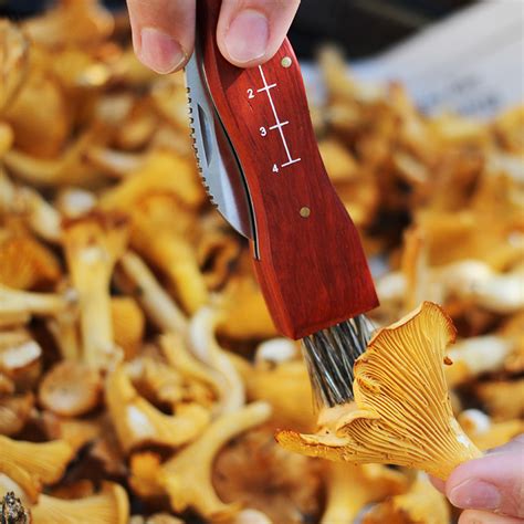 Mushroom Knife - Folding mushroom knife and brush | SmartaSaker