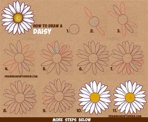 How to Draw a Daisy Flower (Daisies) in Easy Step by Step Drawing Instructions Tutorial for ...