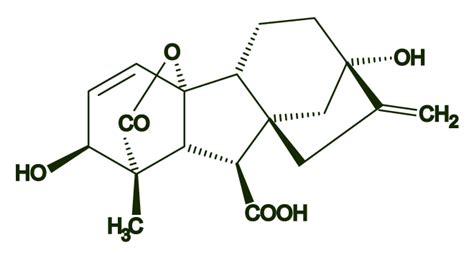 Gibberellic Acid (GA3) - Shaoxing Biotech Chemical Co Ltd.