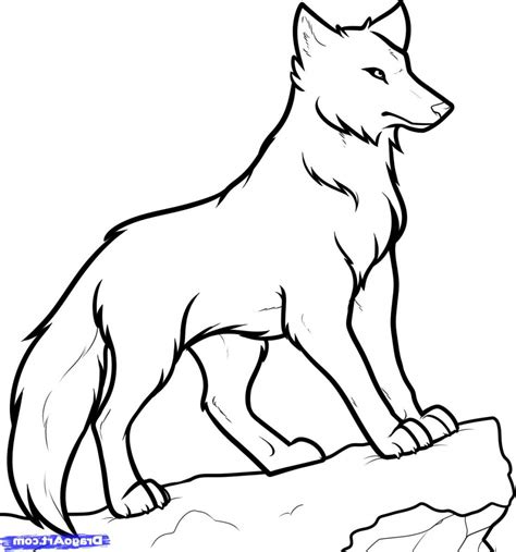 Wolf Cartoon Drawing | Free download on ClipArtMag