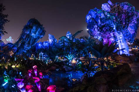 PHOTOS + VIDEO: Pandora - The World of Avatar Comes Alive at Night ...