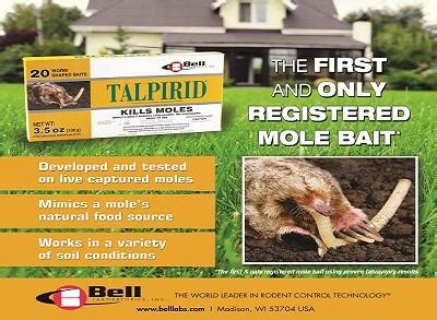 Moles vs Voles - vole vs mole damage and more !| Target Specialty Products