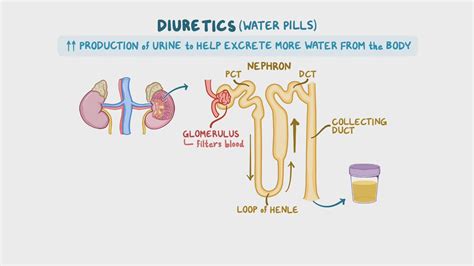 Diuretics - Osmotic and carbonic anhydrase inhibitors: Nursing pharmacology - Osmosis Video Library