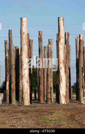 Woodhenge reconstruction at Woodbridge North Newnton Britain located in Stonehenge World ...