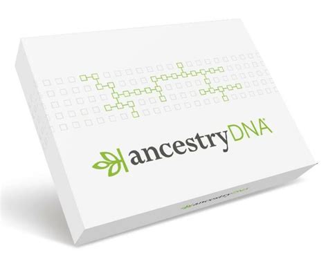 What's Your Heritage? Here's the 4 Best Ancestry DNA Testing Kits in 2019