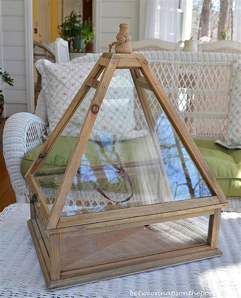 A Tabletop Terrarium or Greenhouse for the Summer House